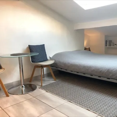 Apartment Cosy Studio Plein Centre De Proche Commodites Nizza